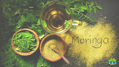 Ultimate Microplastic Detox Kit (E-book + E-course + Moringa 90 Day Supply)